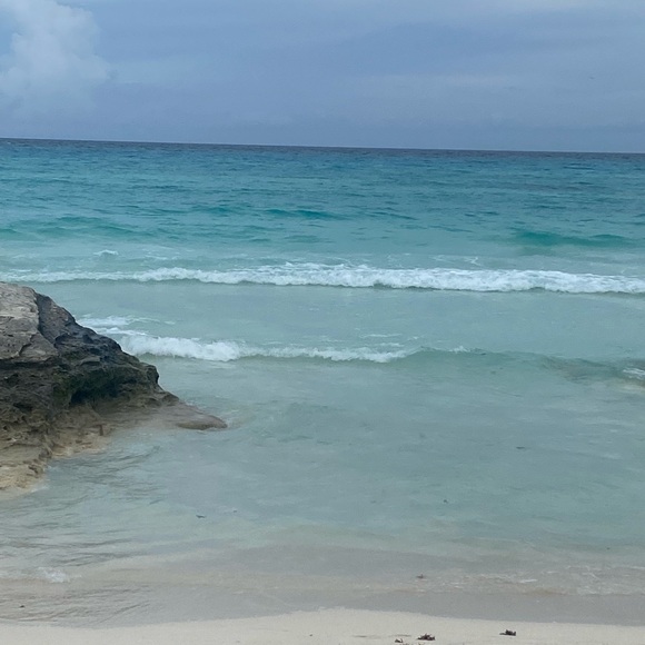 Meet your Posher, Nena - Picture 1 of 1